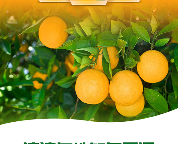 �����r�����֭