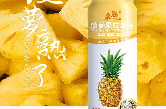 �w�˹�����֭