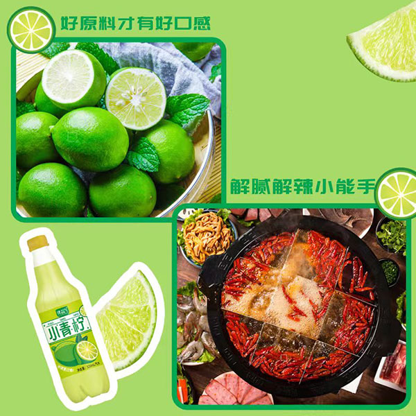 �v���С����֭520ml