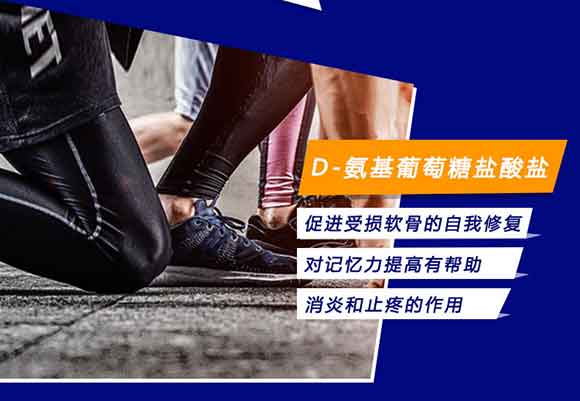 �޹�������������S�������