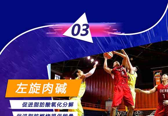 �޹�������������S�������