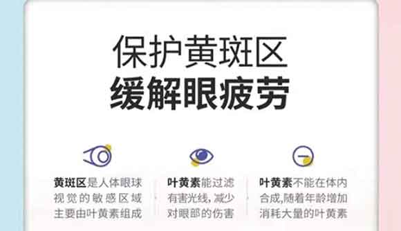 �޹��������S����