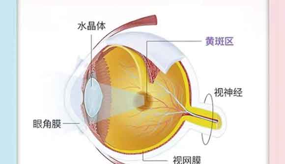 �޹��������S����