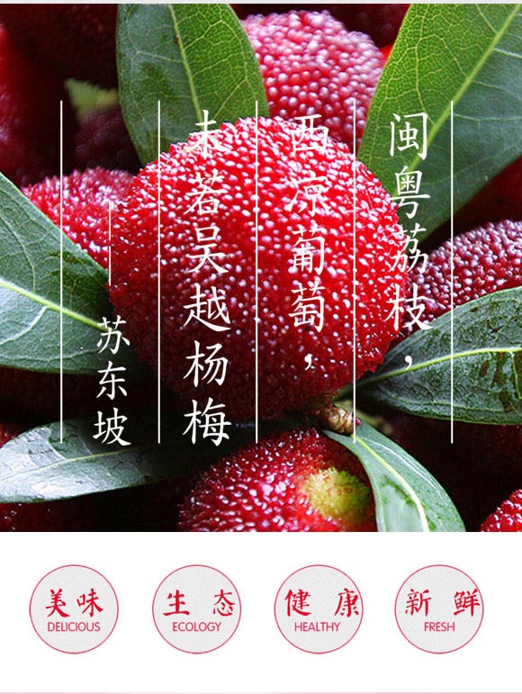 芝士跳動(dòng)食品(浙江)有限公司-楊梅汁_04 芝士跳動(dòng)食品(浙江)有限公司-楊梅汁_04