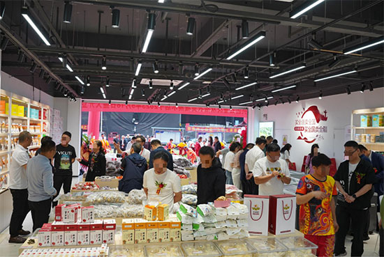 ���F�t�ؑc�p��չʾ�� ʢ���_�I(y��)