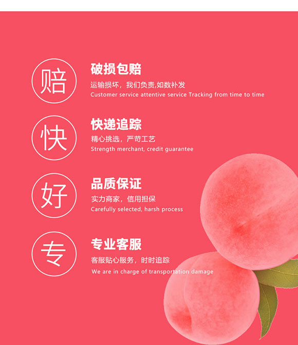 ɽ���|��ʳƷ���޹�˾-ˮ����_09