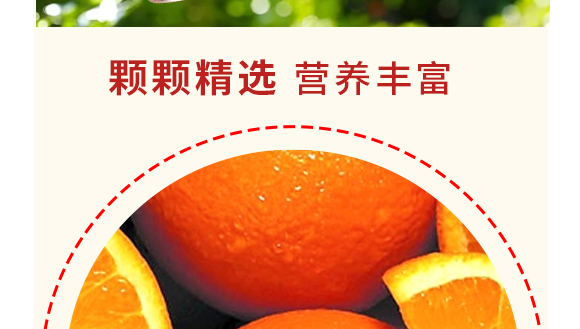 ɽ�|�������Ƽ����޹�˾--���Ӯa(ch��n)Ʒ����(c��)_07