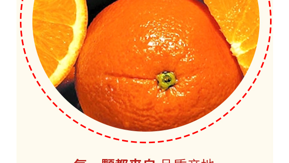 ɽ�|�������Ƽ����޹�˾--���Ӯa(ch��n)Ʒ����(c��)_08