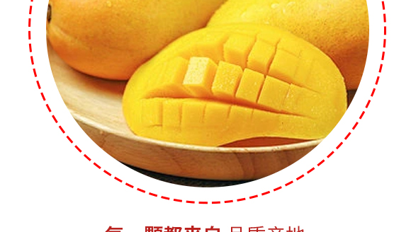 河南增健綠色飲品有限公司-芒果產(chǎn)品畫冊(cè)1230_08 河南增健綠色飲品有限公司-芒果產(chǎn)品畫冊(cè)1230_08