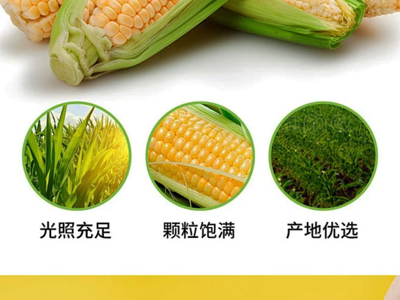 ɽ�|�r��������Ƽ����޹�˾-�a(ch��n)Ʒ����1_04