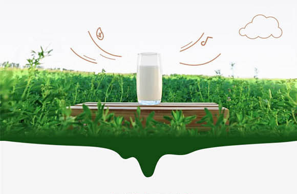 ���ɹ���ţʥ���߿���Ʒ���޹�˾-��ţ��_11