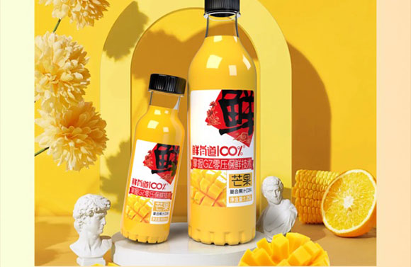 山東澳進(jìn)飲料有限公司-組合畫(huà)冊(cè)_13 山東澳進(jìn)飲料有限公司-組合畫(huà)冊(cè)_13