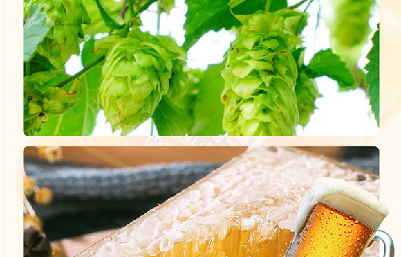 �½�����Ȫ�Ƽ����޹�˾-3���ۮ���_07