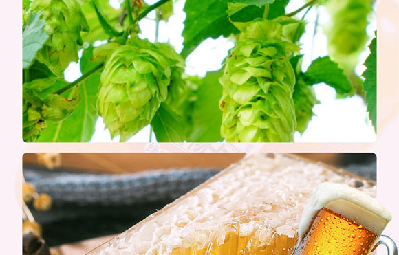 �½�����Ȫ�Ƽ����޹�˾-4��ɣ�خ���_07