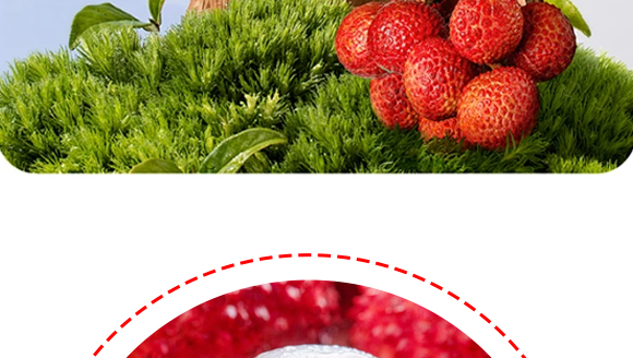 ��ޣ��Ϻ����Ʒ���޹�˾-��֦����(c��)_08