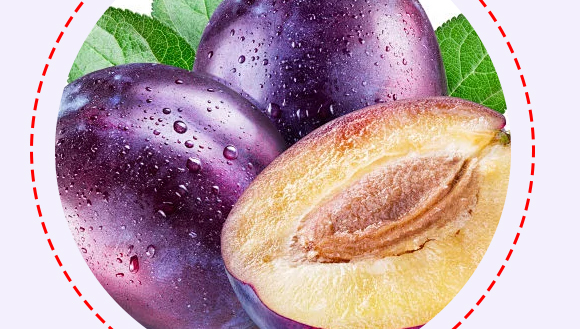 ���ϰ�ʢ��Դ������޹�˾-��÷��(hu��)��(c��)_09