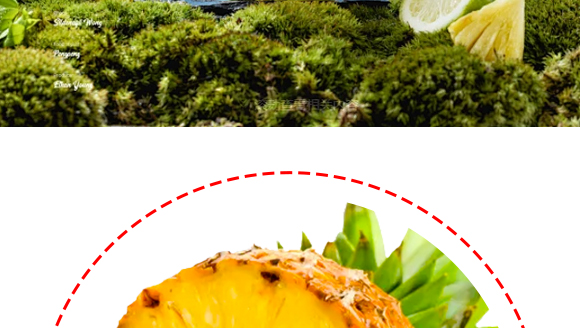 ���Ϻ����Ʒ���޹�˾-���}����_08