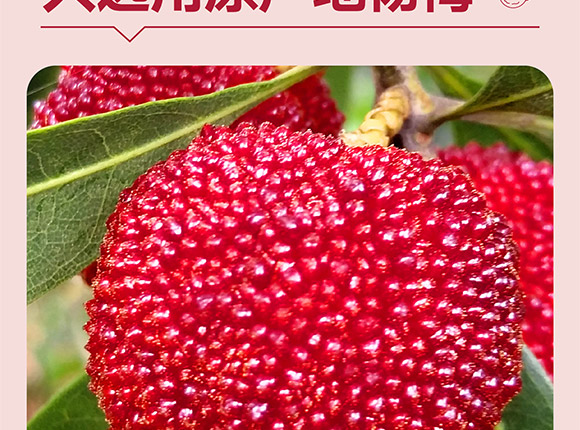 ���݄ӿ�ʳƷ�������޹�˾-��÷����_04