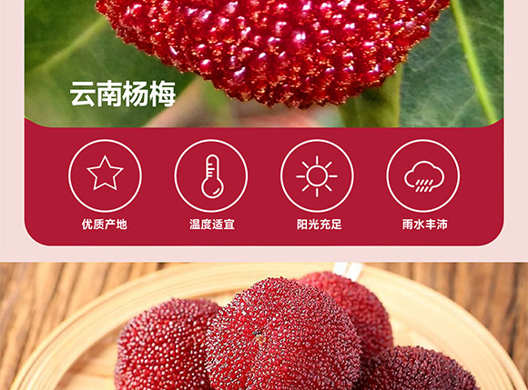 ���݄ӿ�ʳƷ�������޹�˾-��÷����_05