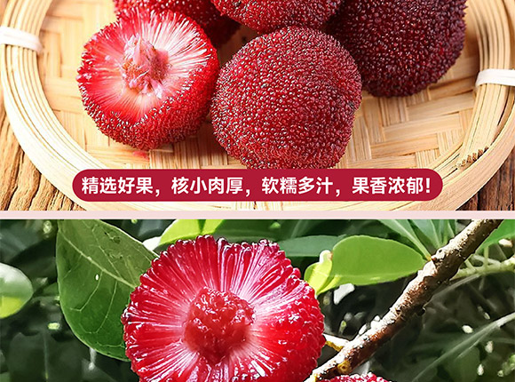 ���݄ӿ�ʳƷ�������޹�˾-��÷����_06