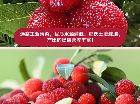 ���݄ӿ�ʳƷ�������޹�˾-��÷����_07