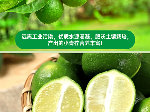 ���݄ӿ�ʳƷ�������޹�˾-С��������_07