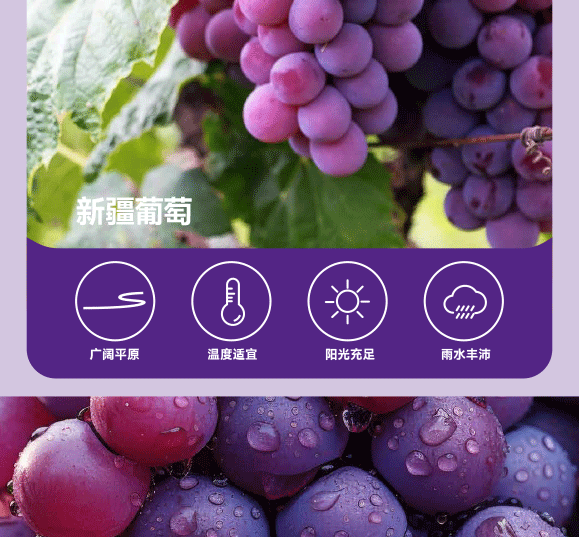 ���݄ӿ�ʳƷ�������޹�˾-���Ѯ���_04