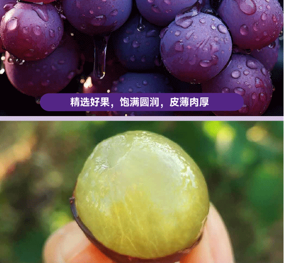 ���݄ӿ�ʳƷ�������޹�˾-���Ѯ���_05