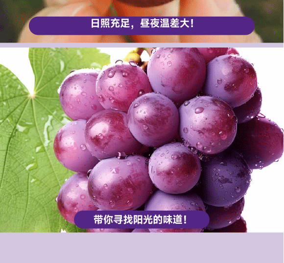 ���݄ӿ�ʳƷ�������޹�˾-���Ѯ���_06