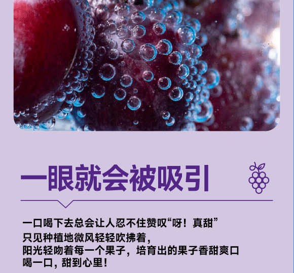 ���݄ӿ�ʳƷ�������޹�˾-���Ѯ���_11