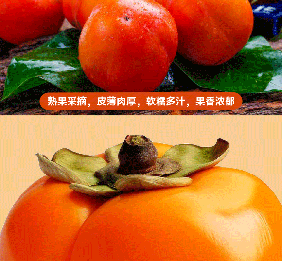 ���݄�(d��ng)��ʳƷ�������޹�˾-���Ӯ�(hu��)��(c��)_05