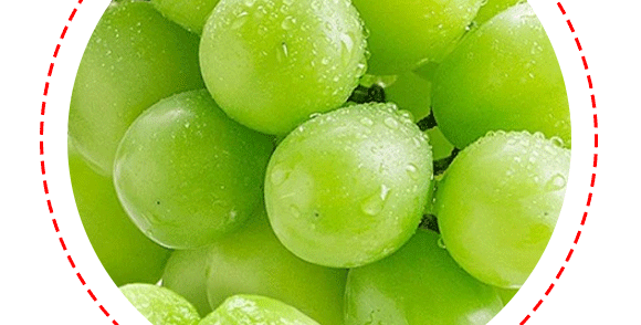 �ྩ�Ʒ-���Ѯa(ch��n)Ʒ����_12