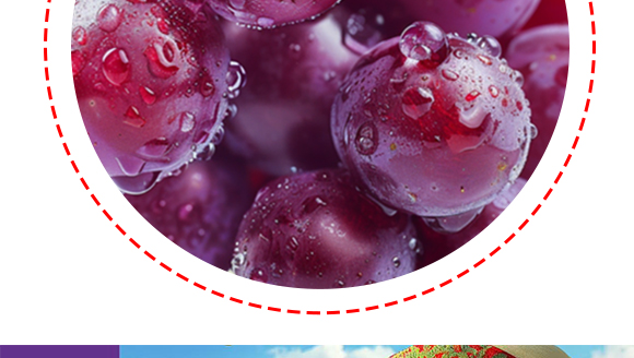 ��ޣ��Ϻ����Ʒ���޹�˾����-�a(ch��n)Ʒ����_08