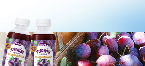 ����ʽʳƷ(�Ϻ�)���޹�˾-12_18