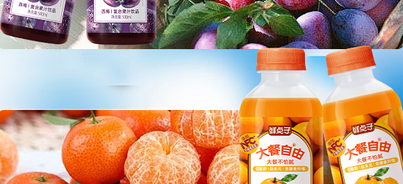 ����ʽʳƷ(�Ϻ�)���޹�˾-12_19