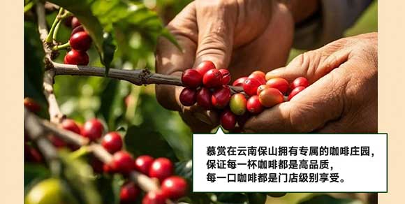 �V��Ľ�pʳƷ�Ƽ����޹�˾-؈ʺ����_10