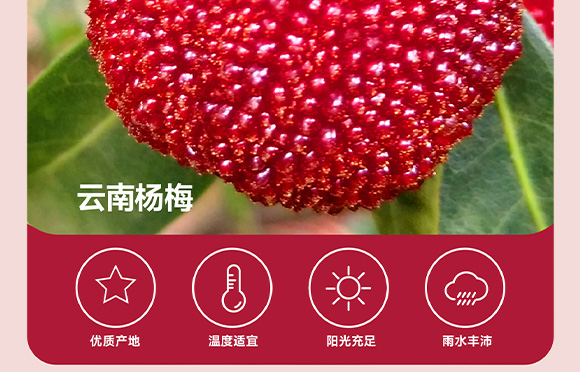 ���݄ӿ�ʳƷ�������޹�˾-3_06