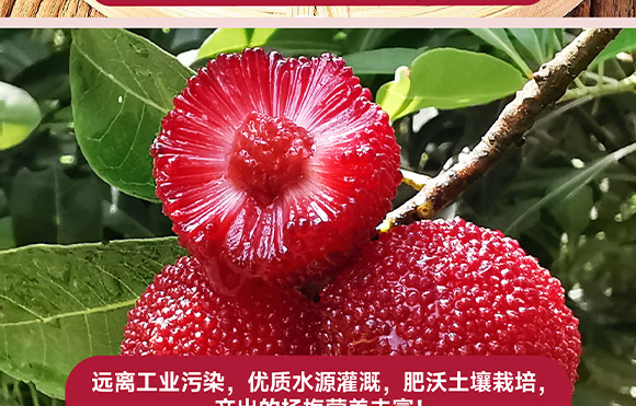 ���݄ӿ�ʳƷ�������޹�˾-3_08