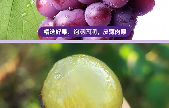 ���݄�(d��ng)��_08